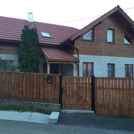 Pensiunea Floare De Colt Beliş Zewnętrze zdjęcie