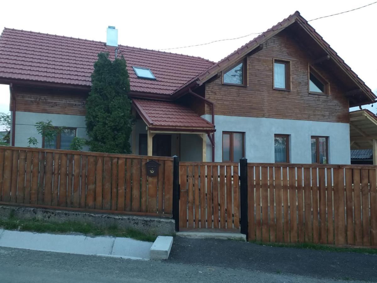 Pensiunea Floare De Colt Beliş Zewnętrze zdjęcie