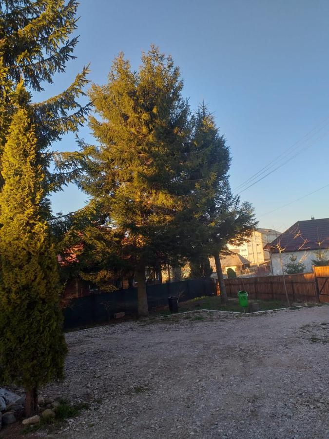 Pensiunea Floare De Colt Beliş Zewnętrze zdjęcie