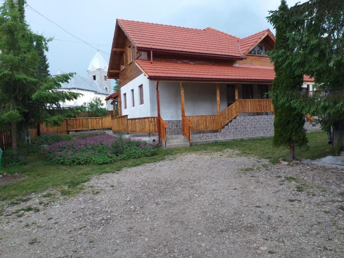 Pensiunea Floare De Colt Beliş Zewnętrze zdjęcie