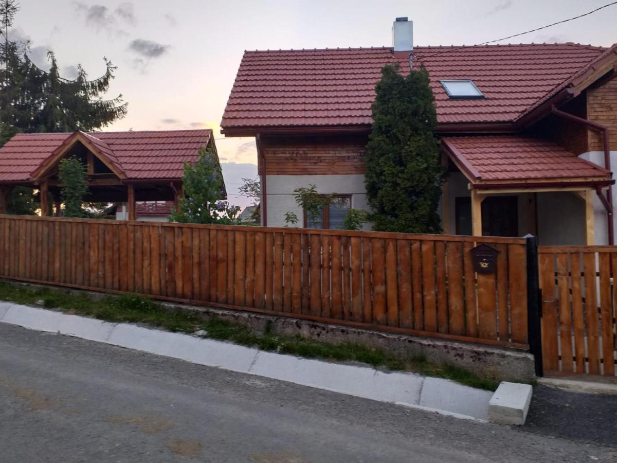 Pensiunea Floare De Colt Beliş Zewnętrze zdjęcie